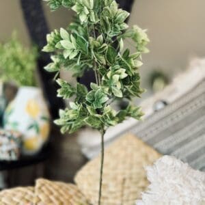 Green Stems - tall